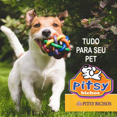 pitsy bichos - empresa que trabalha com produtos para pets em geral